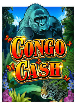 คู่มือสมัคร pg slot ambbo เพื่อเริ่มต้นเส้นทางใหม่